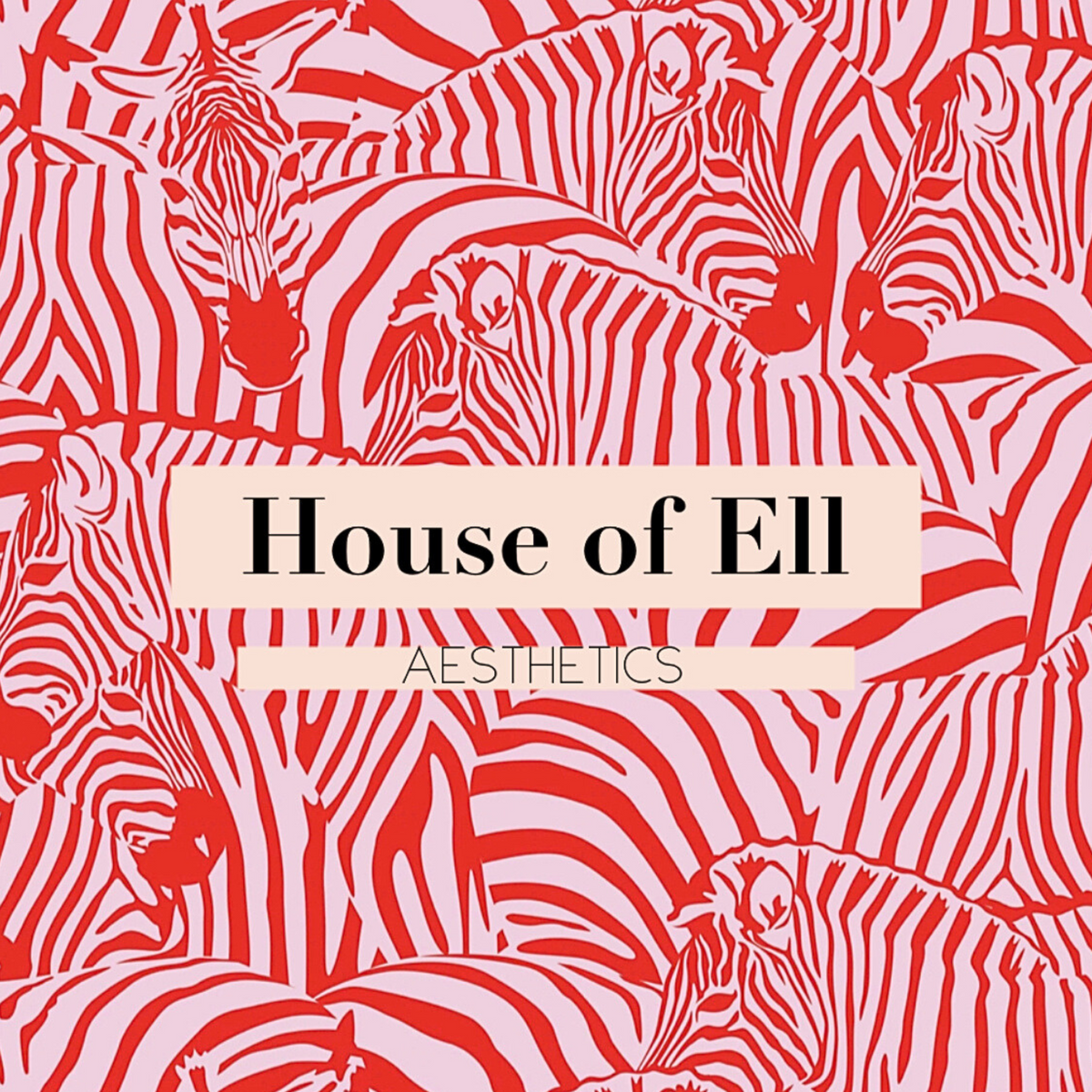 House of Ell Aesthetics Training Academy